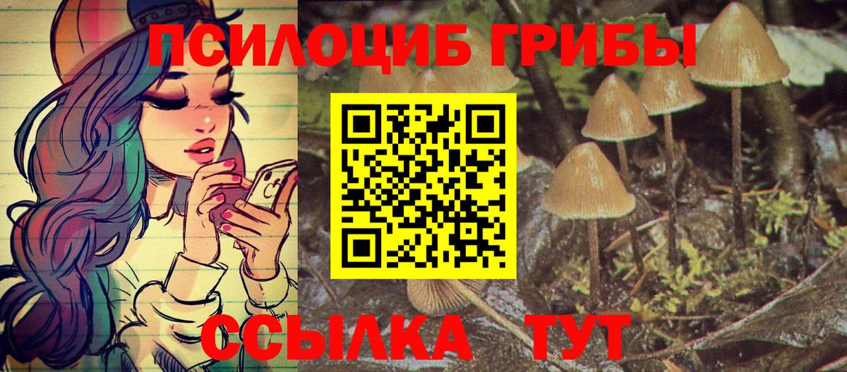Псилоцибиновые грибы GOLDEN TEACHER Великий Новгород